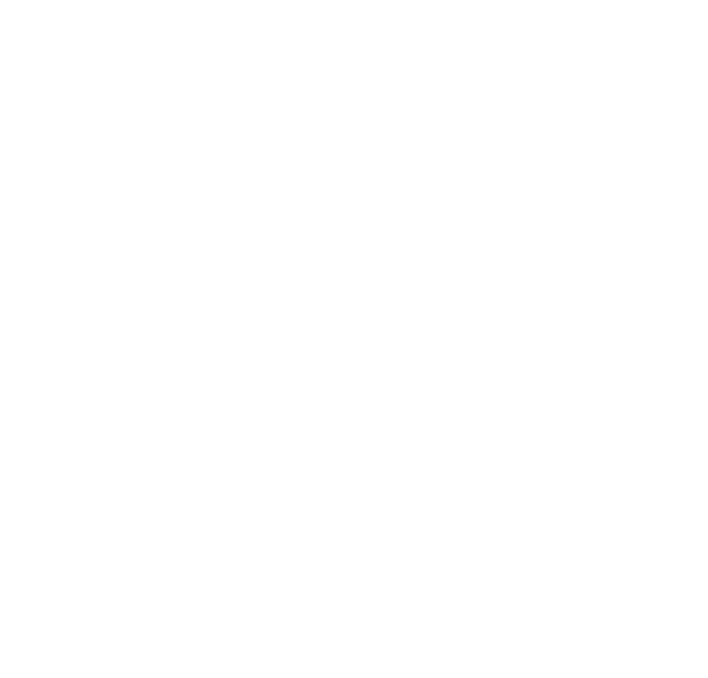 The Fly Scholar Logo in White Colour